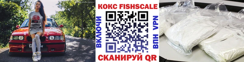 купить  цена  Дербент  мега зеркало  COCAIN Эквадор 