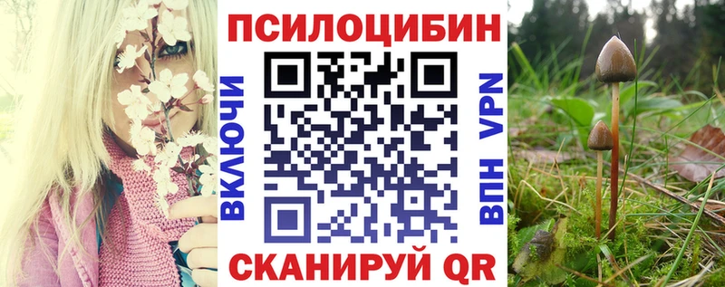 Галлюциногенные грибы мицелий  Дербент 